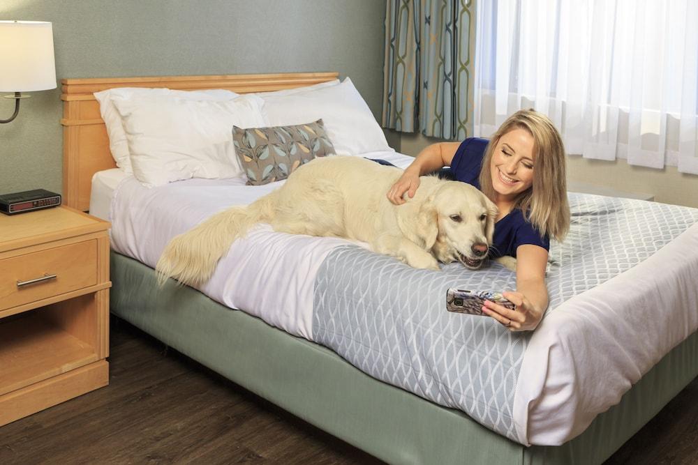 Accent Inns Vancouver Airport Richmond Luaran gambar