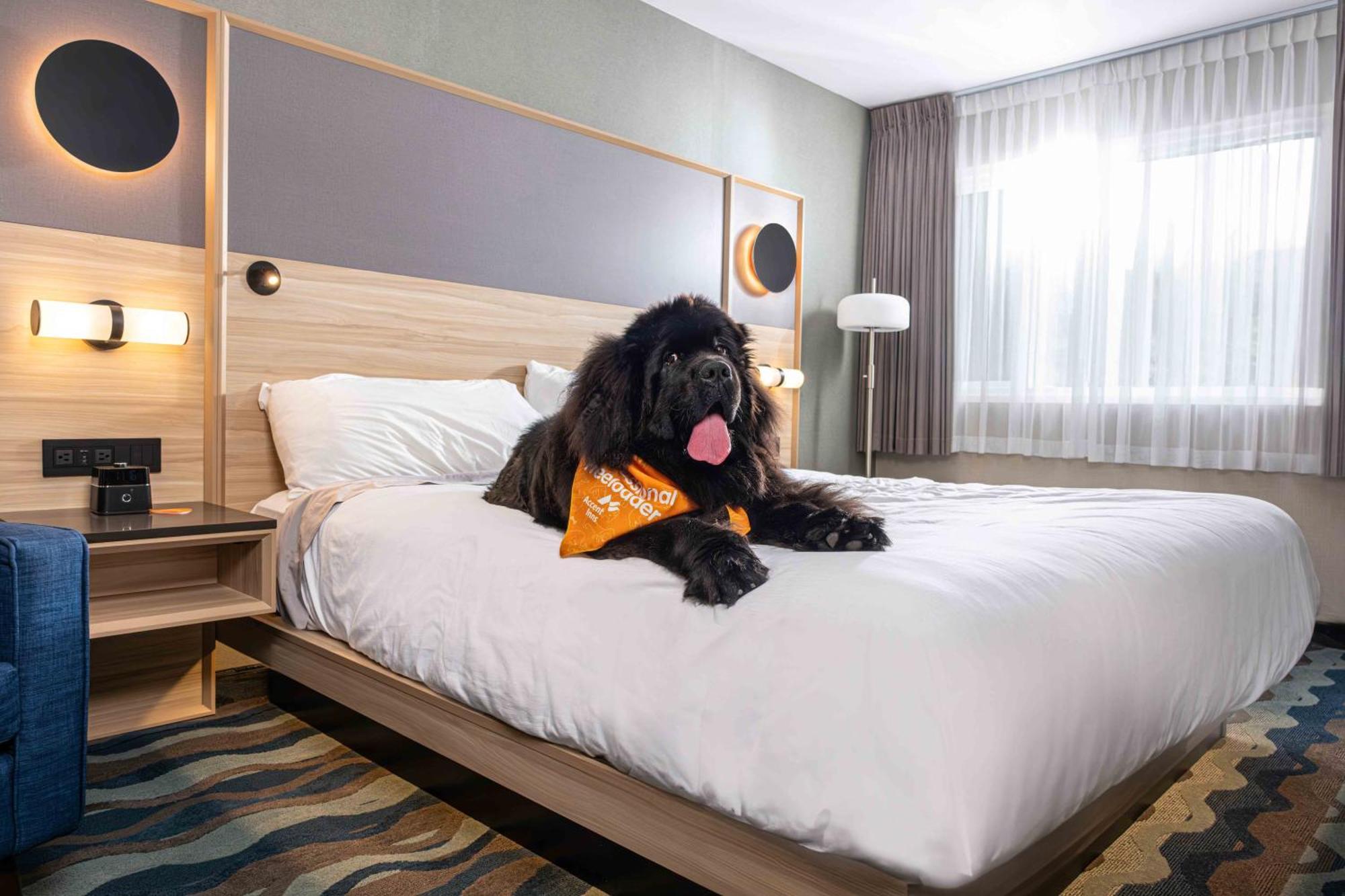 Accent Inns Vancouver Airport Richmond Luaran gambar