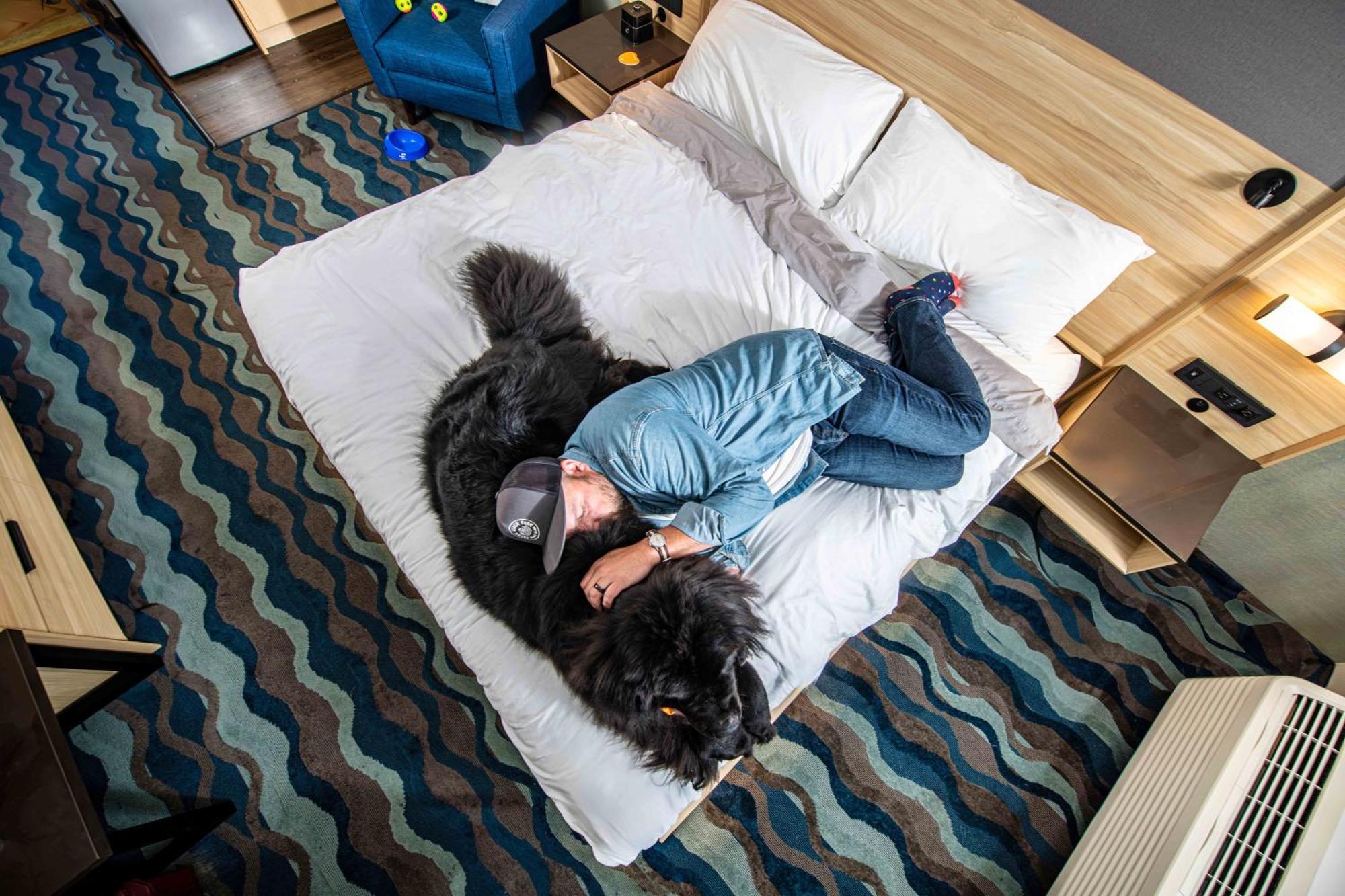 Accent Inns Vancouver Airport Richmond Luaran gambar